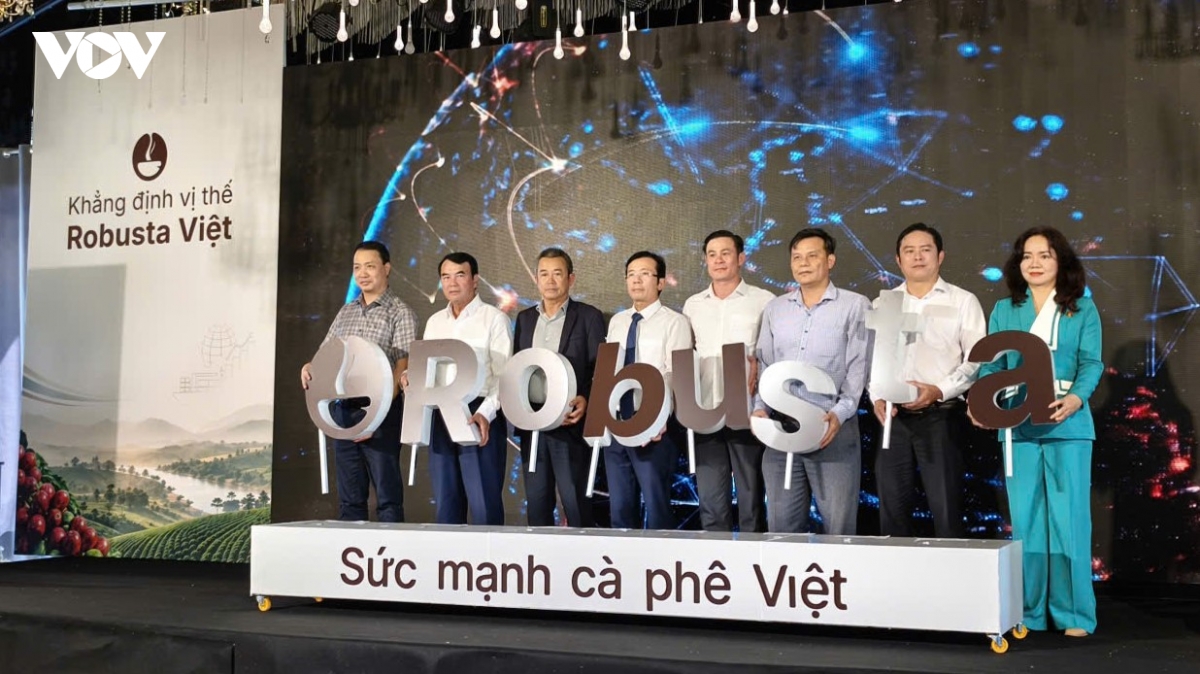 nang chat ca phe robusta viet tu goc hinh anh 3