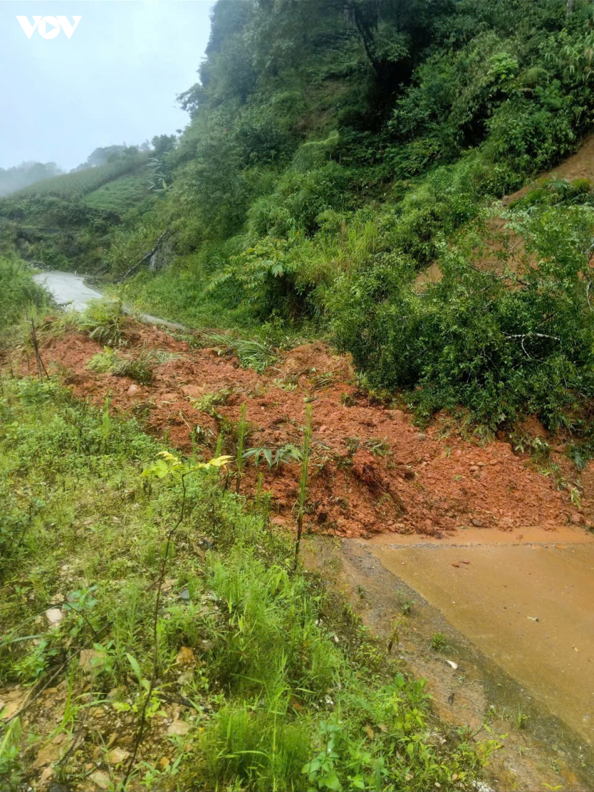 cac tinh tay bac tang cuong ung pho voi mua lu dien rong hinh anh 5
