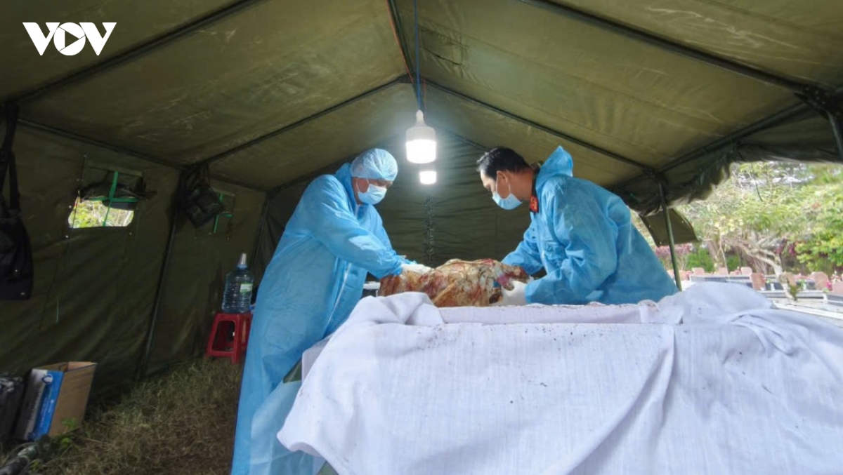khoang lang thang 7 o nghia trang liet si lam Dong hinh anh 3