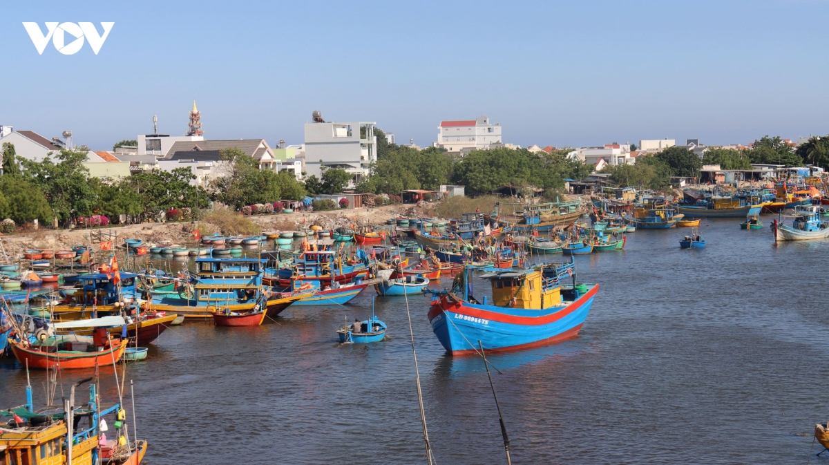 lam Dong nang cao nhan thuc ngu dan ve chong khai thac iuu hinh anh 2
