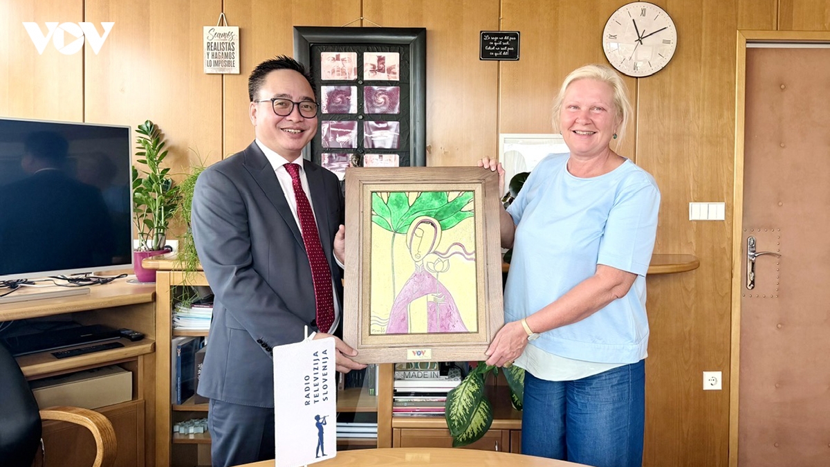 vov va Dai pt-th slovenia thuc day hop tac truyen thong trong ky nguyen so hinh anh 2