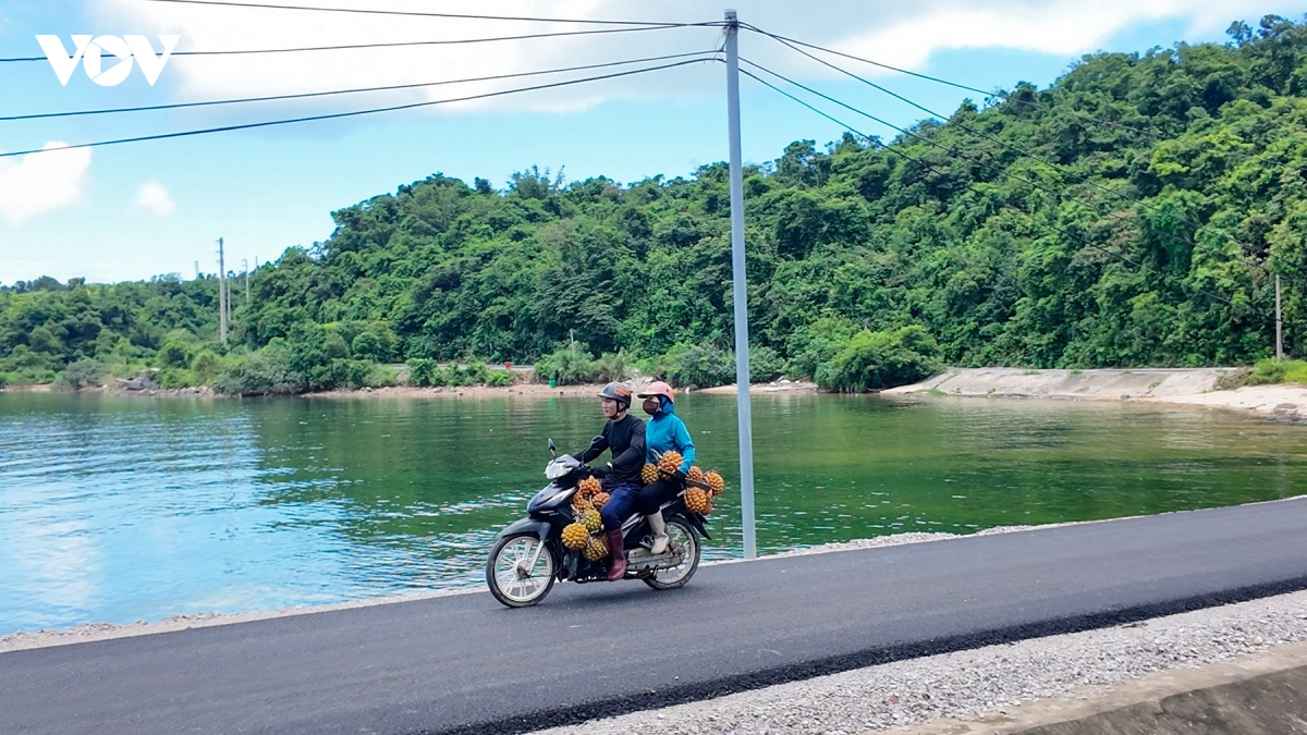 san loc rung giua bien khoi thanh lan co to hinh anh 9