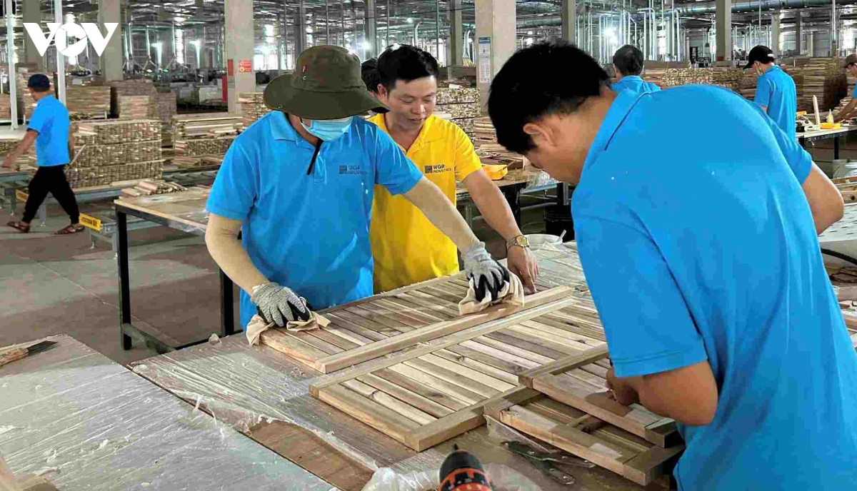 giai bai toan nhan luc cho muc tieu phat trien ben vung cua tay nguyen hinh anh 2