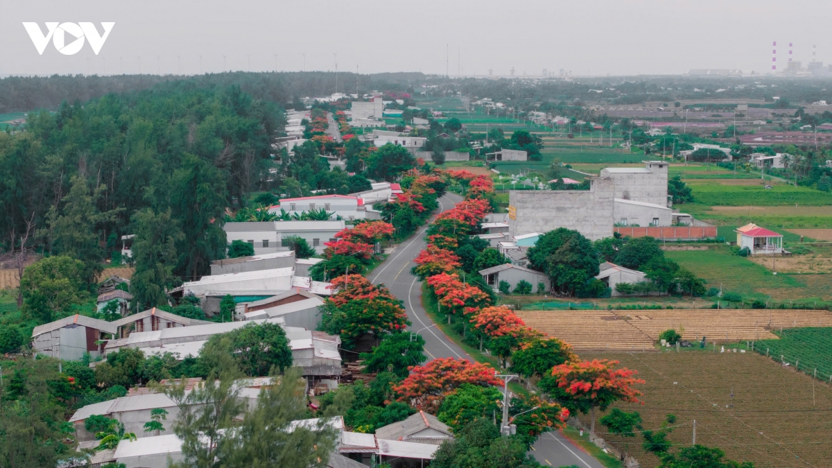 ve dep binh yen cua cung duong phuong vi noi tieng vinh long hinh anh 1