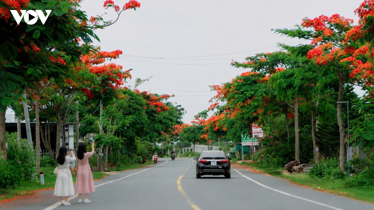 ve dep binh yen cua cung duong phuong vi noi tieng vinh long hinh anh 8