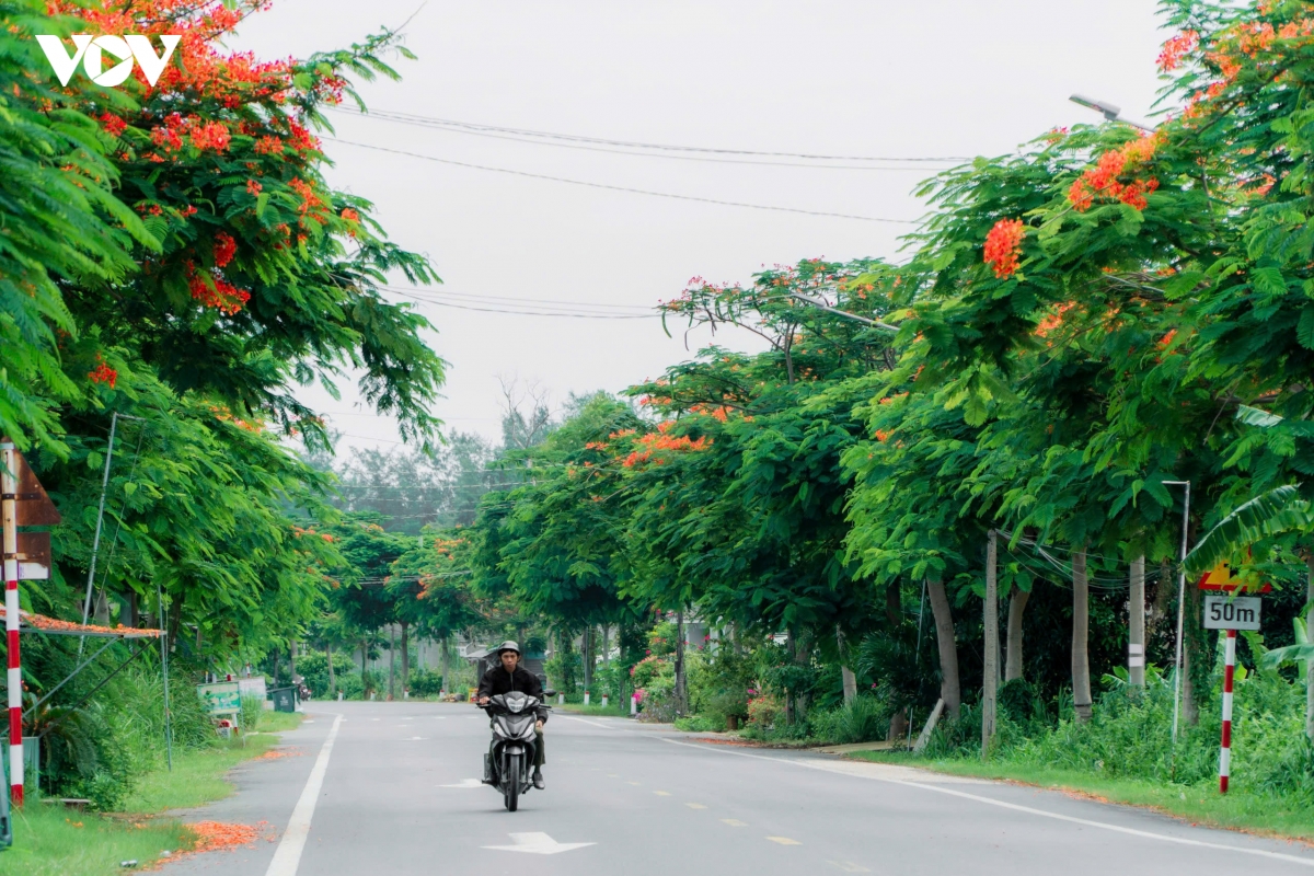 ve dep binh yen cua cung duong phuong vi noi tieng vinh long hinh anh 9