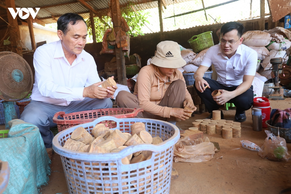 hieu qua nguon von tin dung tam nong cua agribank nang gia tri cay que tra bong hinh anh 2