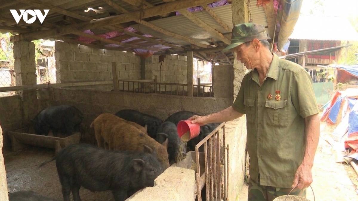 nguoi thuong binh va hanh trinh hoi sinh vung dat can Deo gio hinh anh 1