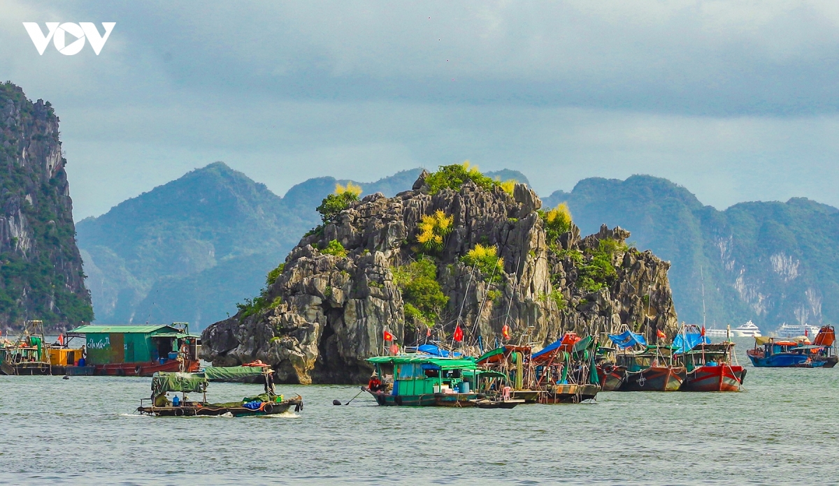 mua phat du nui khoe sac ruc ro tren vinh ha long hinh anh 2