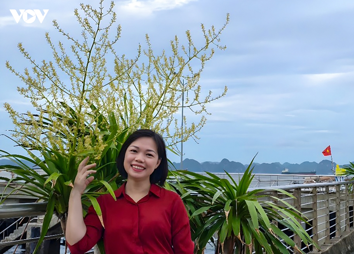 mua phat du nui khoe sac ruc ro tren vinh ha long hinh anh 7