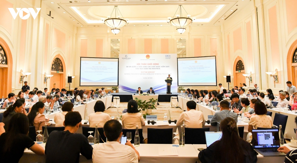 viet nam xay dung du an khung cat giam 6,1 trieu tan co2 moi nam hinh anh 3