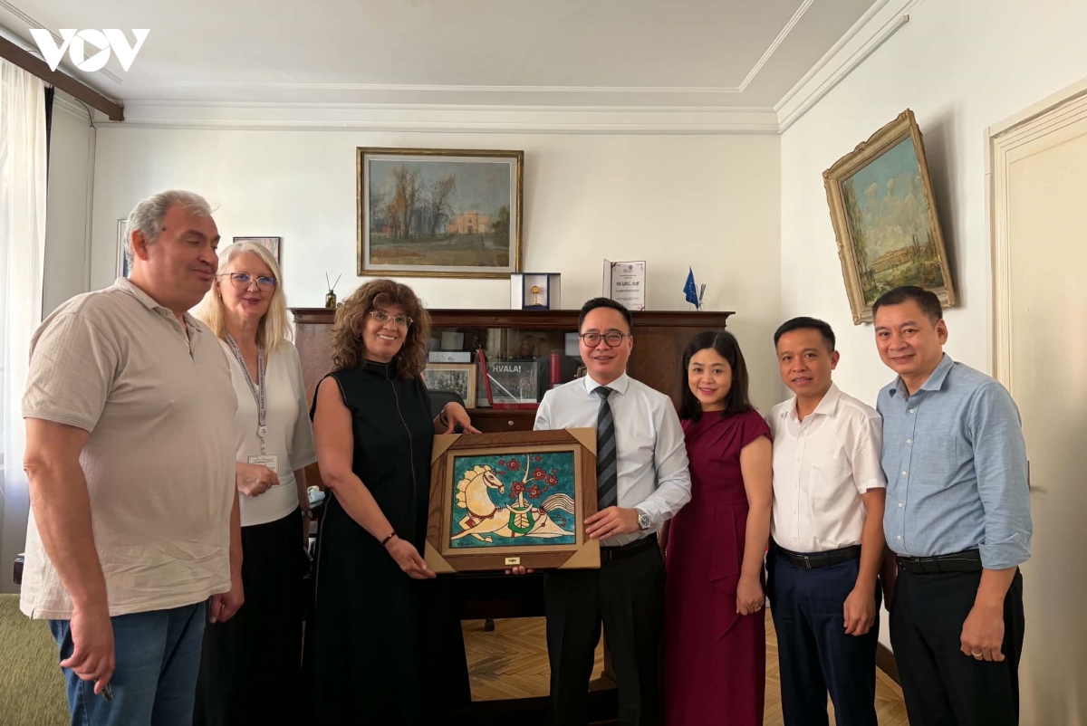 vov thuc day hop tac voi cac dai phat thanh - truyen hinh serbia, croatia hinh anh 3