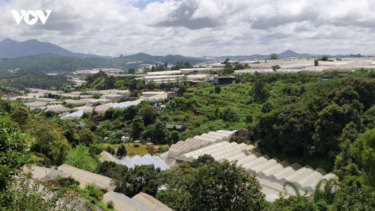 lam Dong quy hoach lien phuong Da lat dong bo va kha thi hinh anh 2