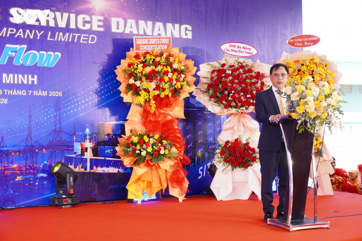 cang Da nang huong toi muc tieu xay dung trung tam logistics hang dau mien trung. hinh anh 2