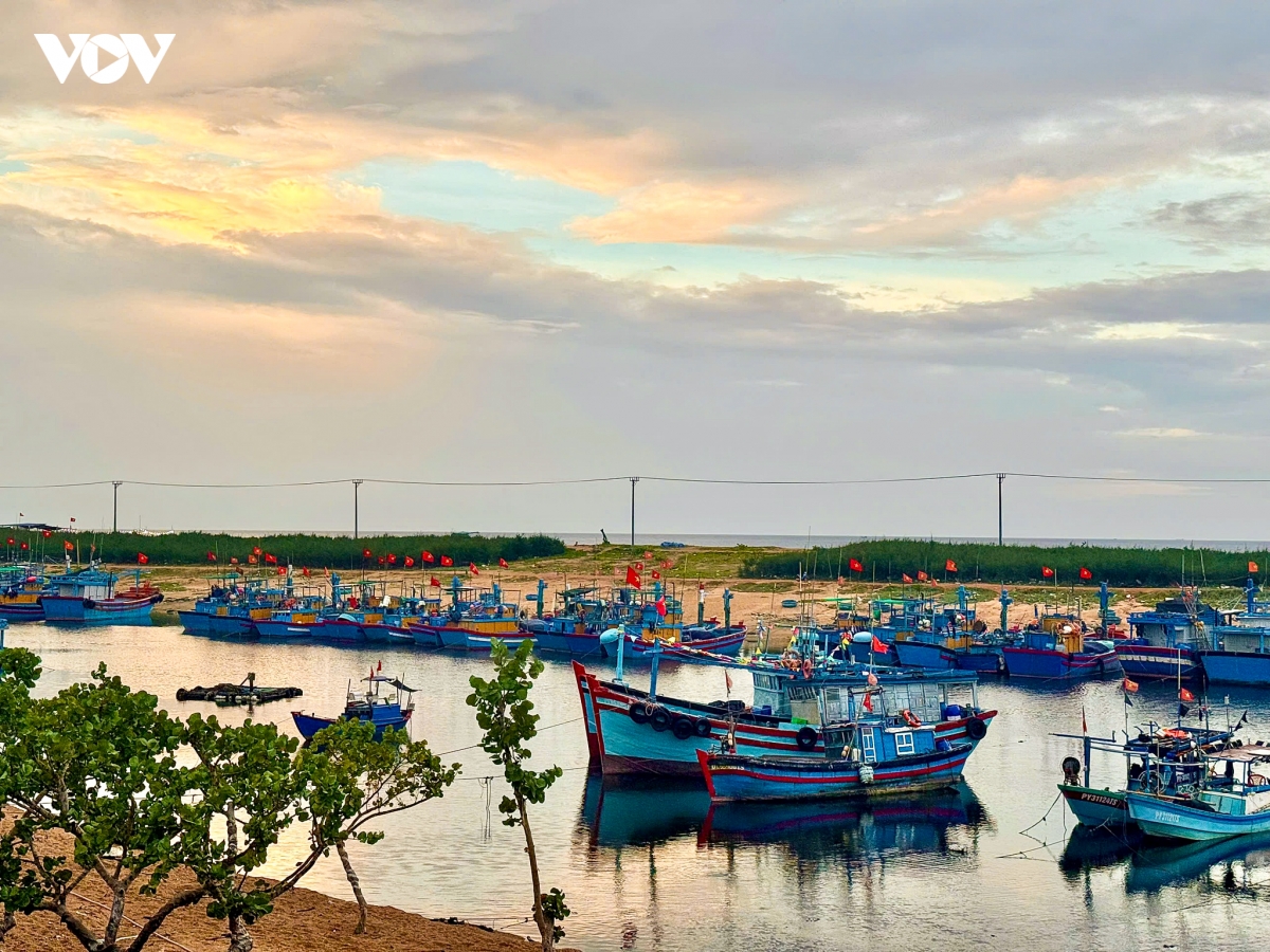 tranh cai gia phong homestay lang lo, chinh quyen dia phuong len tieng hinh anh 1