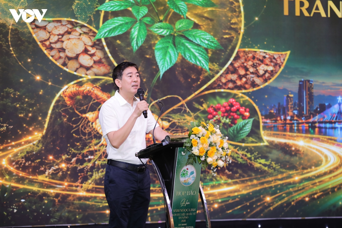 Sâm Ngọc Linh quý hiếm hàng đầu thế giới vẫn chưa "xuất ngoại" được