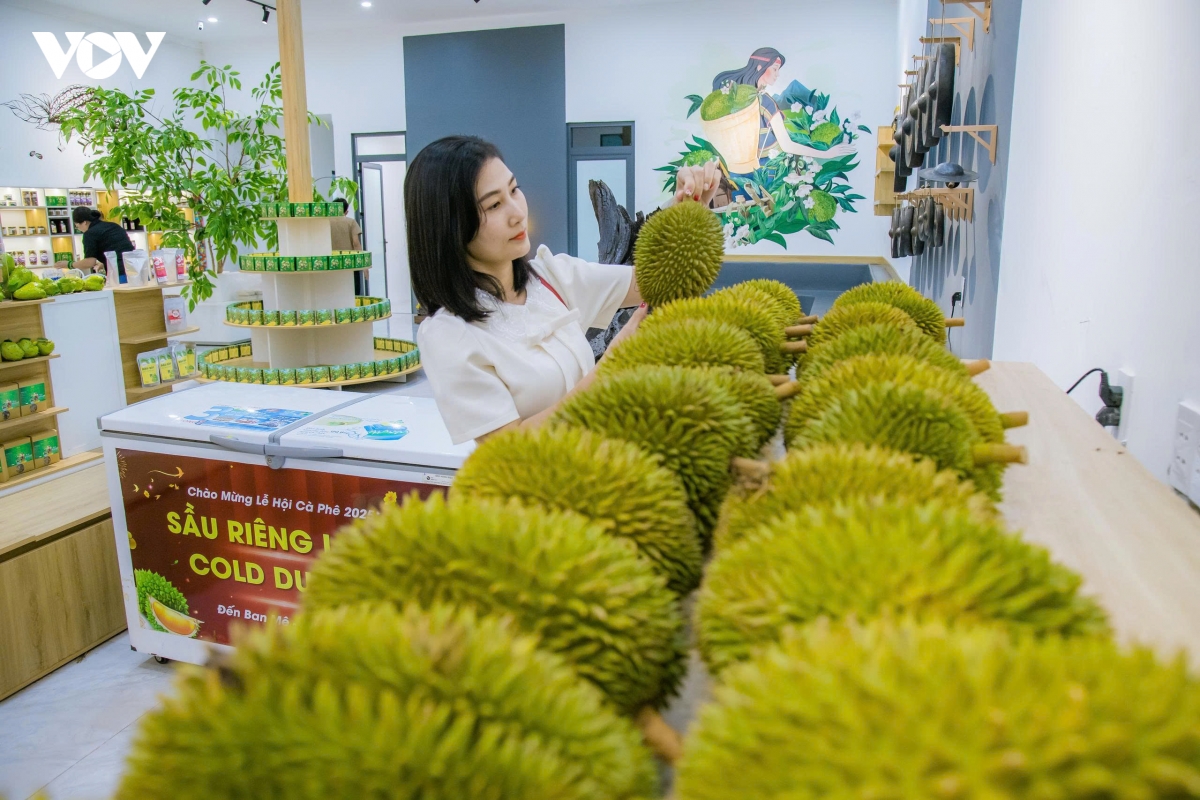 Nhiều hạng mục Lễ hội Sầu riêng còn chậm, Đắk Lắk yêu cầu đẩy nhanh tiến độ