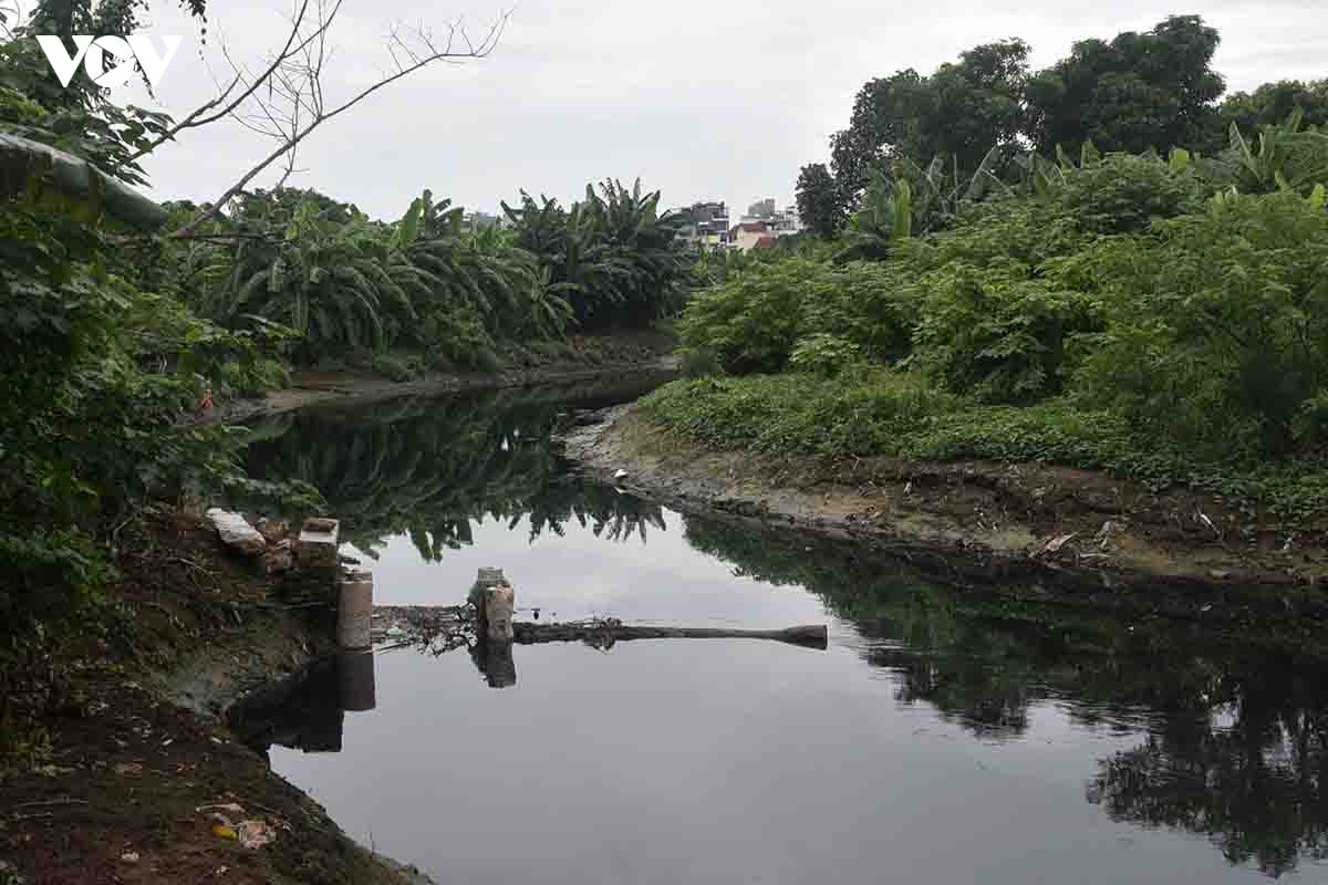 toan canh song cau bay dai 12,9 km o nhiem nang sap duoc giai cuu hinh anh 8