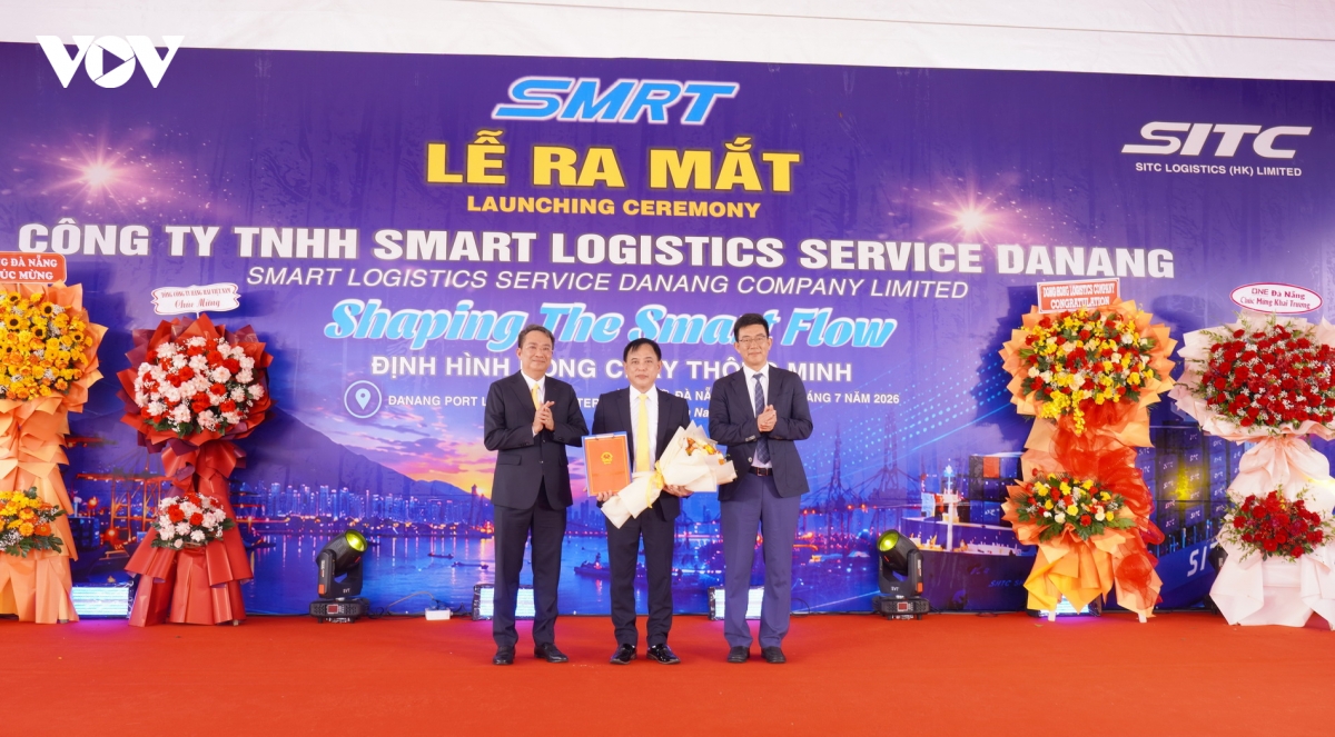 cang Da nang huong toi muc tieu xay dung trung tam logistics hang dau mien trung. hinh anh 3