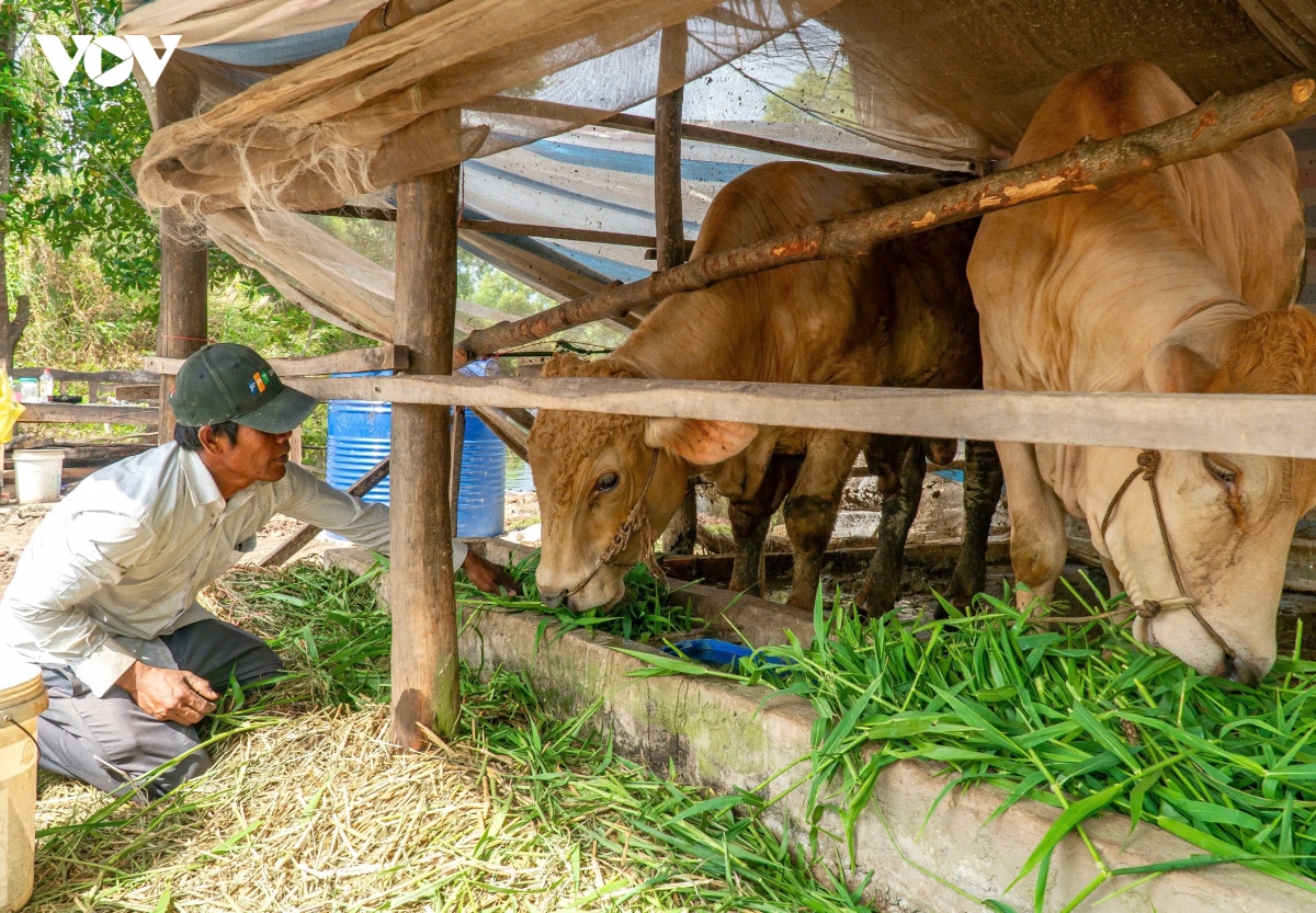 Cà Mau chú trọng chăm lo giáo dục và y tế cho đồng bào dân tộc thiểu số