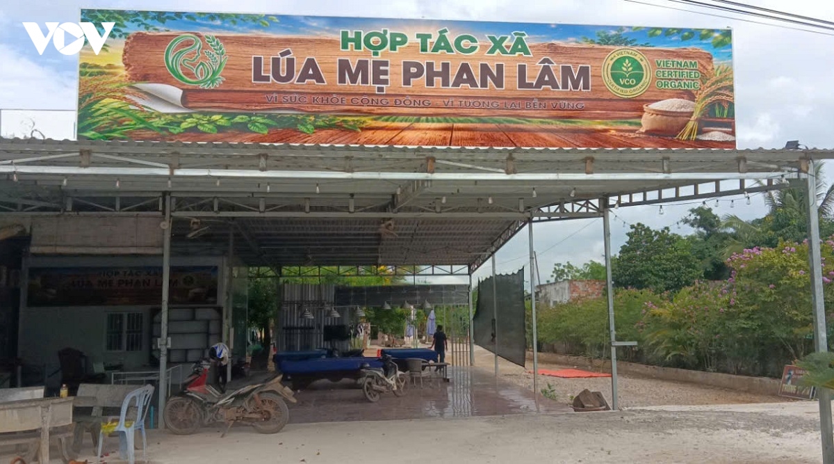 nang cao gia tri lua me gan voi giu gin ban sac dong bao vung cao phan son hinh anh 1