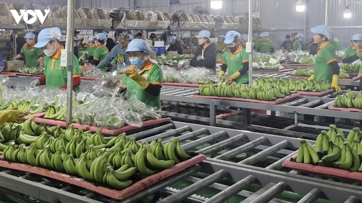 Doanh nghiệp cần chủ động ứng phó với các rào cản kỹ thuật ở thị trường EU