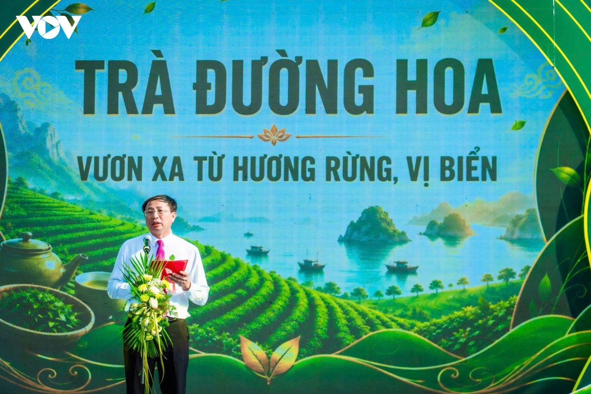 Duong hoa khat vong xay dung vung che di san quang ninh hinh anh 6