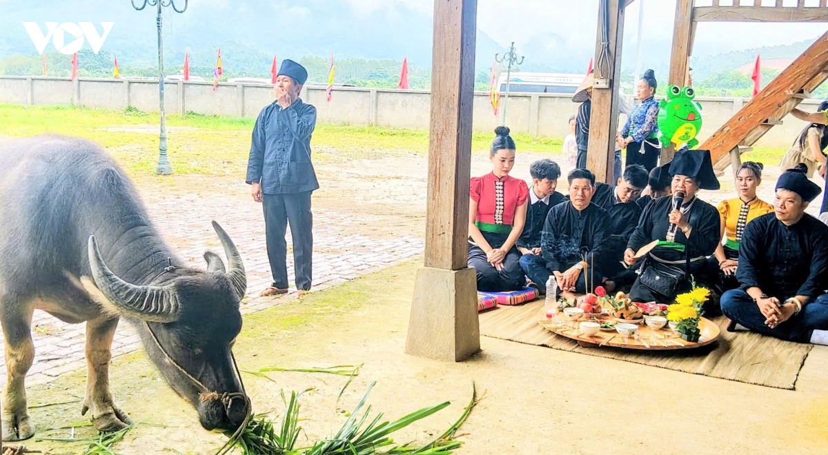 ron rang tet xip xi cua dong bao thai muong lo hinh anh 15