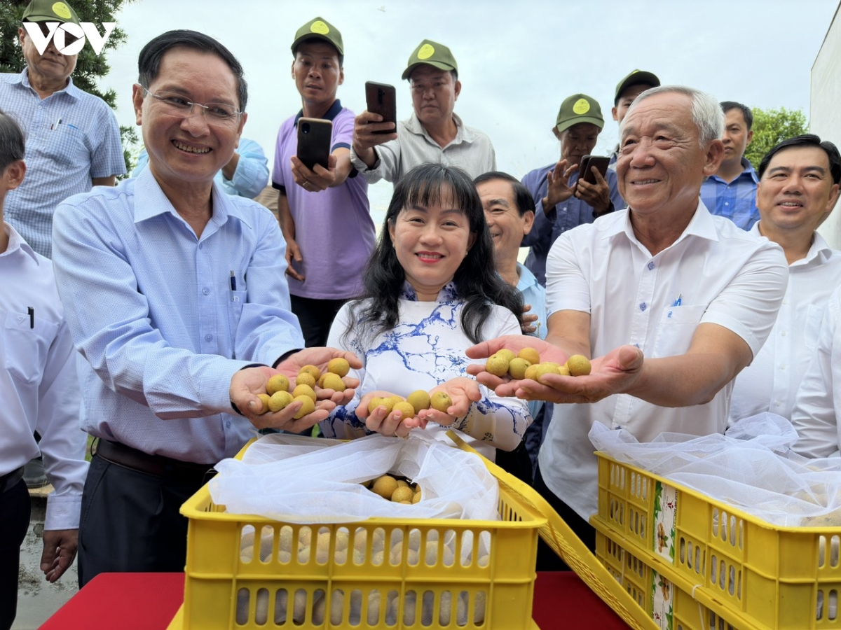 khi phong ve thuong mai tro thanh xu the toan cau hinh anh 4