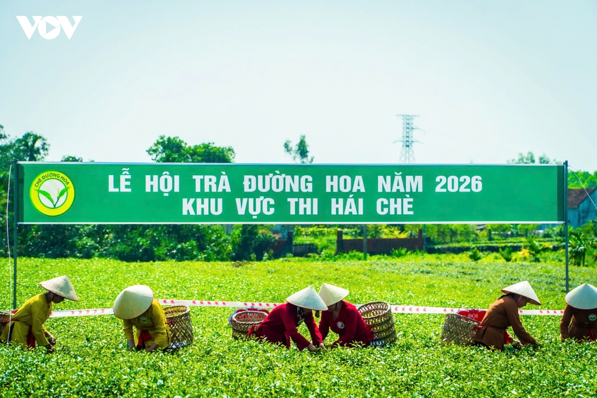 Duong hoa khat vong xay dung vung che di san quang ninh hinh anh 9