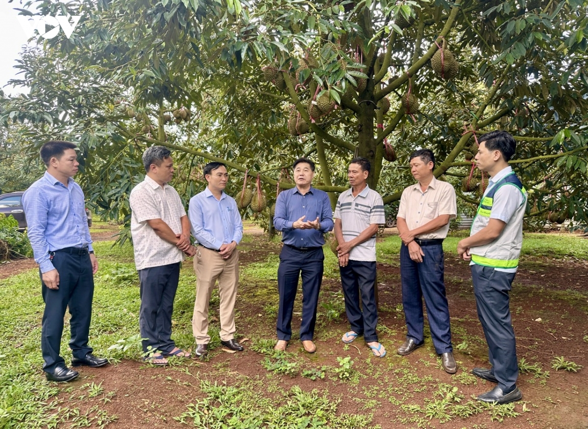 Đắk Lắk đồng hành cùng nông dân số hóa mã số vùng trồng