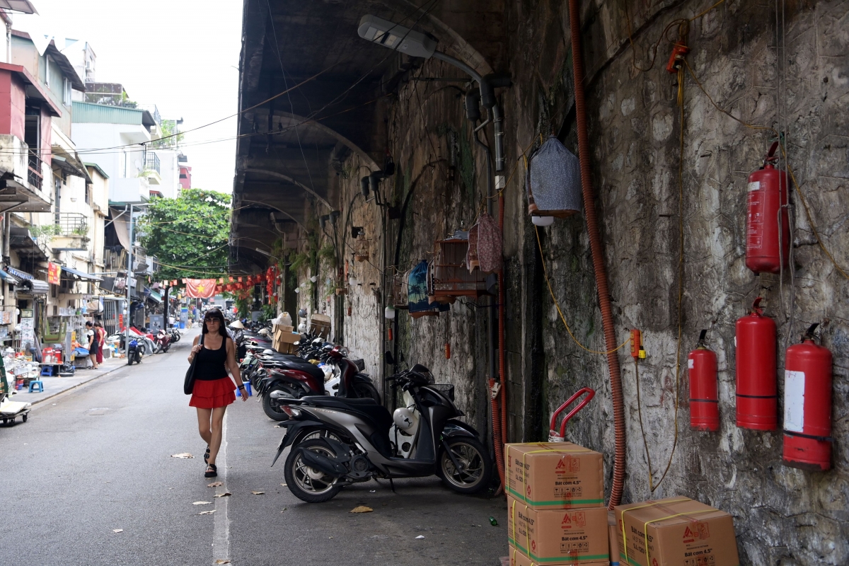 ha noi sap cai tao 131 vom cau da Danh thuc di san giua long pho co hinh anh 6