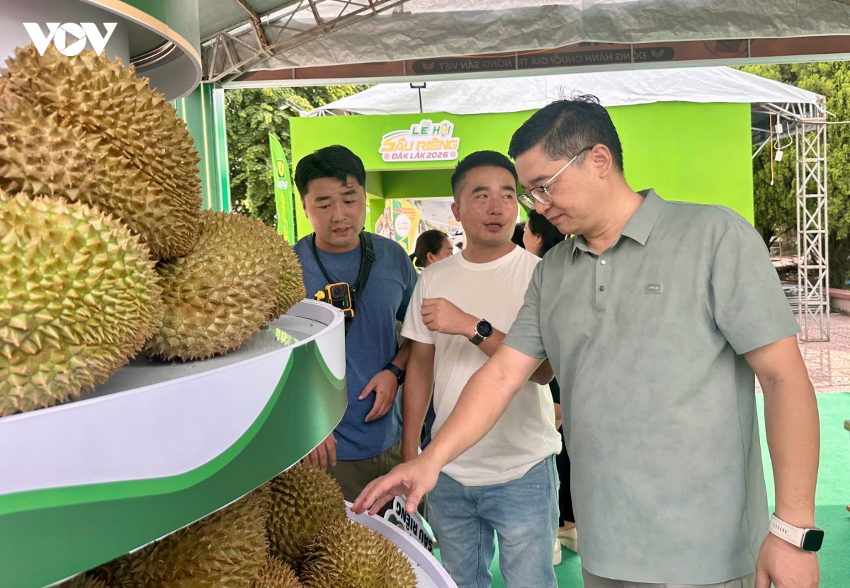 sau rieng Dak lak mo rong ket noi, huong toi nang cao gia tri hinh anh 2