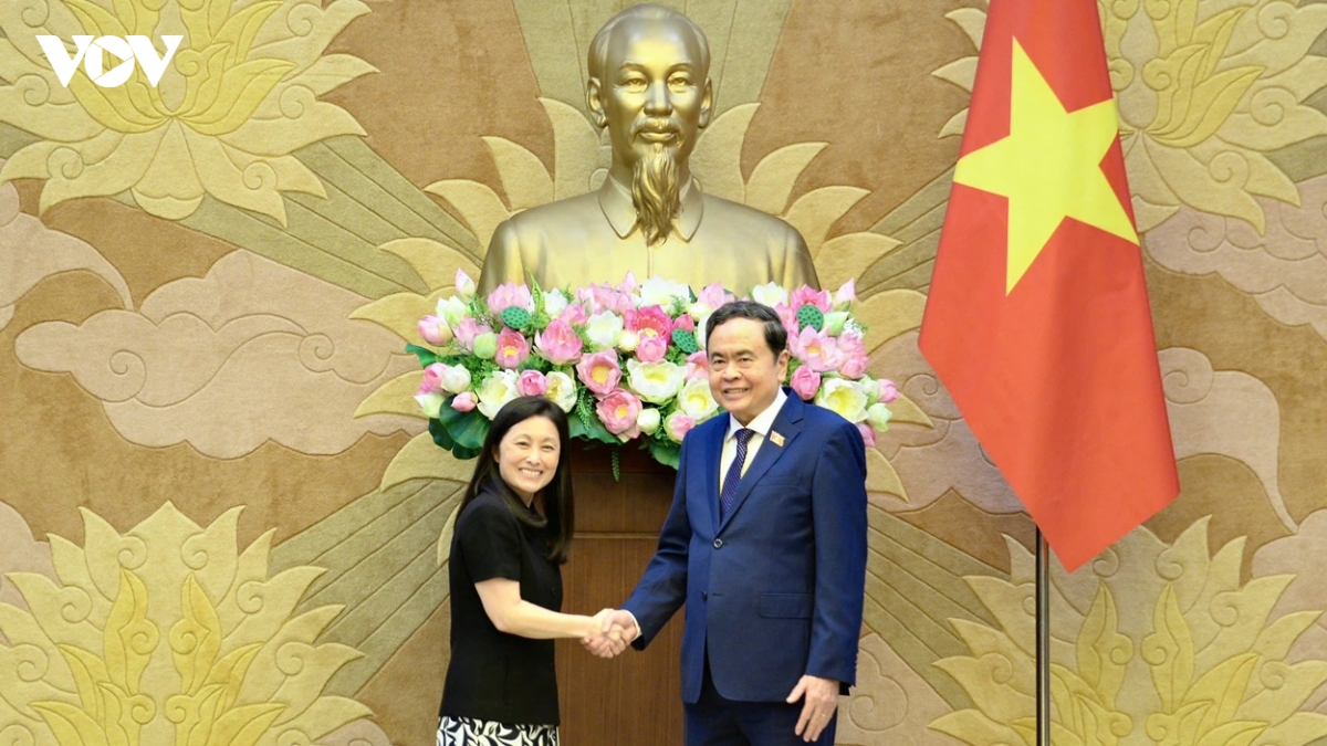 thuc day tao co che doi thoai thuc chat giua co quan lap phap viet nam va hoa ky hinh anh 1