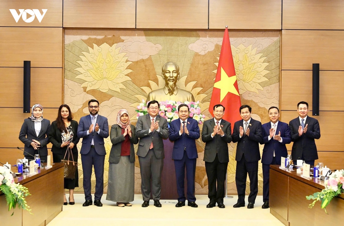 chu tich quoc hoi tiep Dai su malaysia tai viet nam hinh anh 6