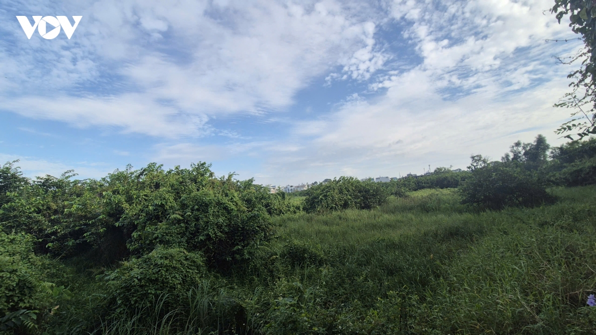 loat sai pham tai du an 1.590 ty dong giua trung tam tp Dong nai hinh anh 2