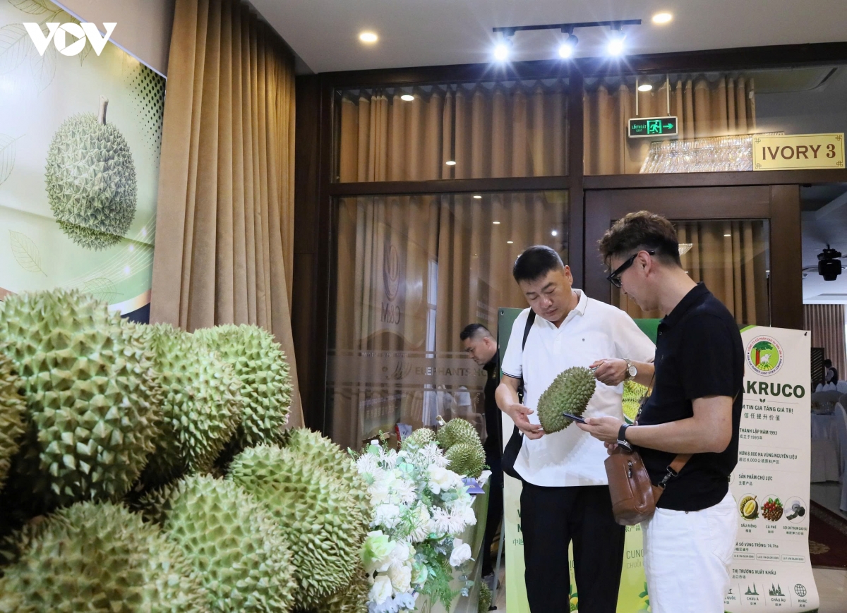 ket noi chuoi cung ung sau rieng viet nam - trung quoc hinh anh 2
