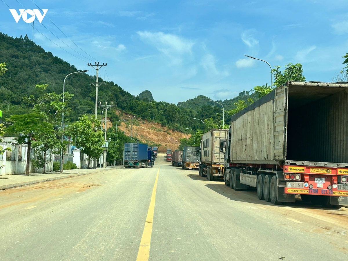cao bang xay dung cua khau tra linh thanh cuc tang truong moi hinh anh 3