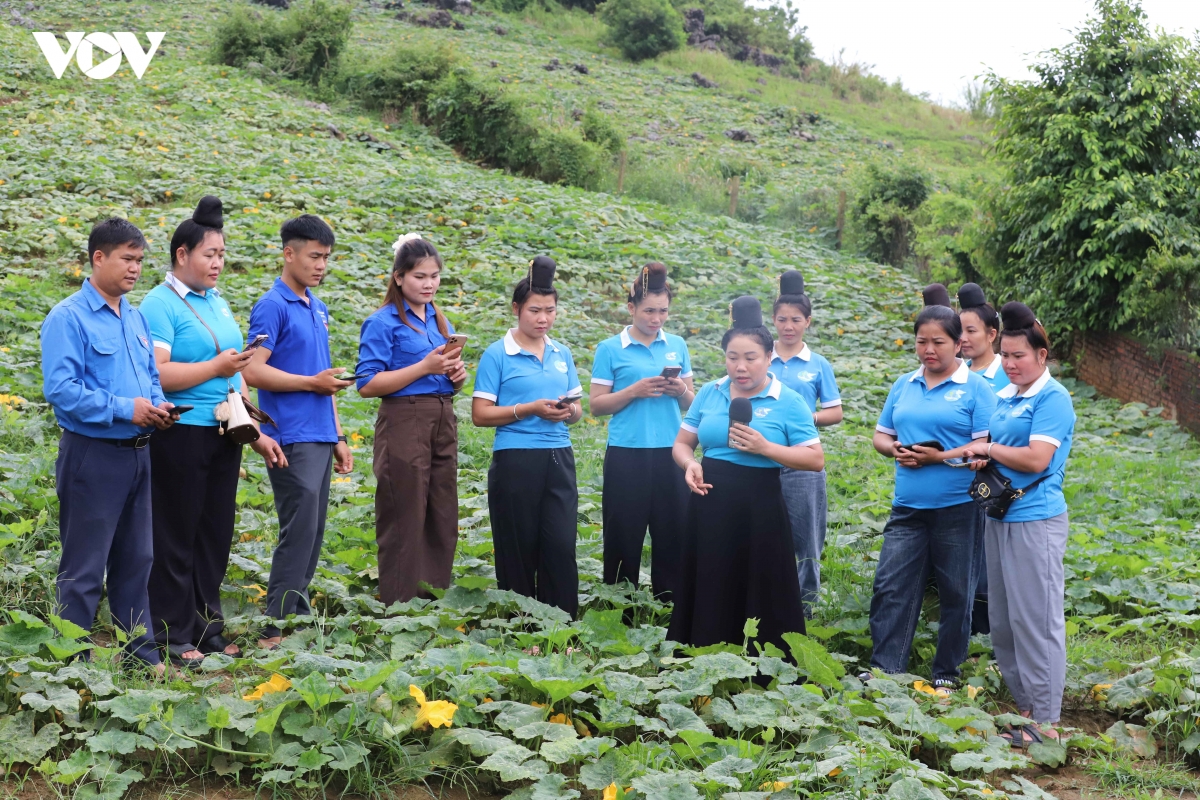 yen son lan toa binh dan hoc vu so , dua cong nghe vao phat trien kinh te hinh anh 3