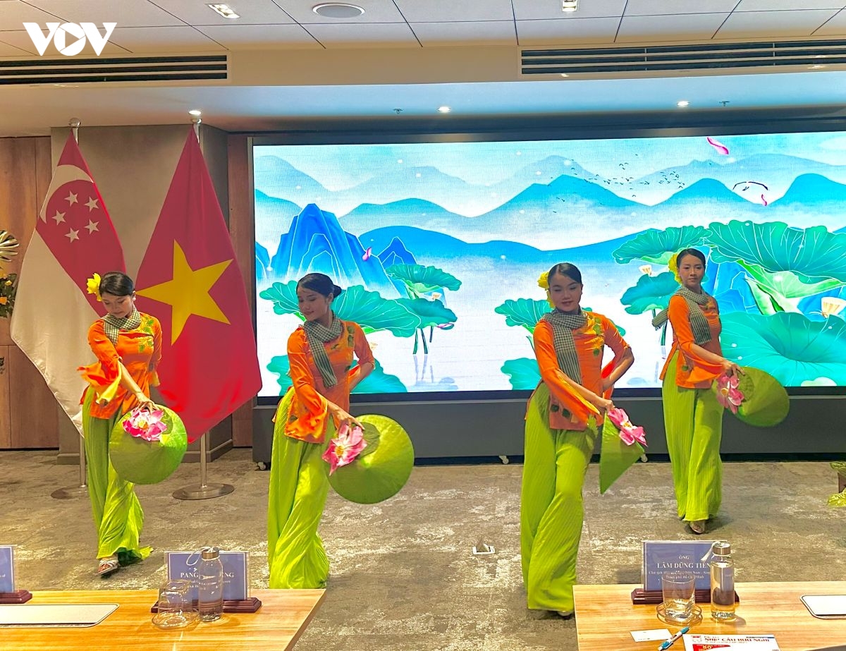 tp.hcm - singapore tu nen tang huu nghi den dong luc hop tac moi hinh anh 4