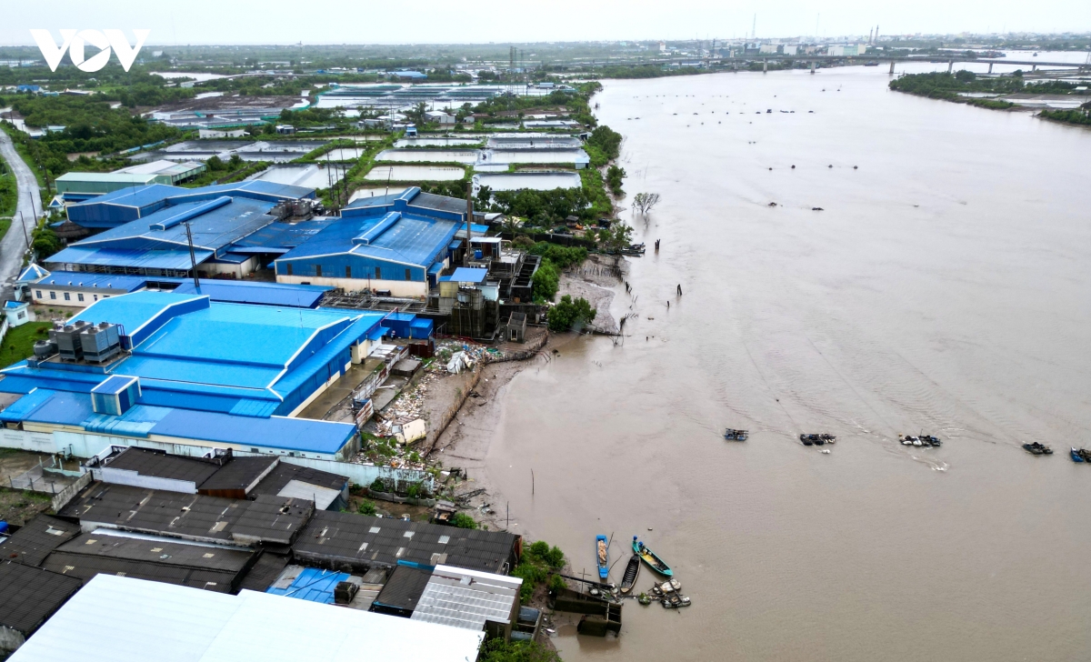 Khởi công dự án kè 480 tỷ đồng bảo vệ bờ sông Gành Hào ở Cà Mau