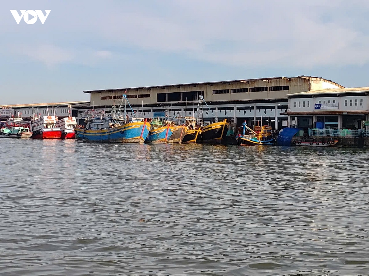 hang tram chu tau o lam Dong ky cam ket khong vi pham iuu hinh anh 2