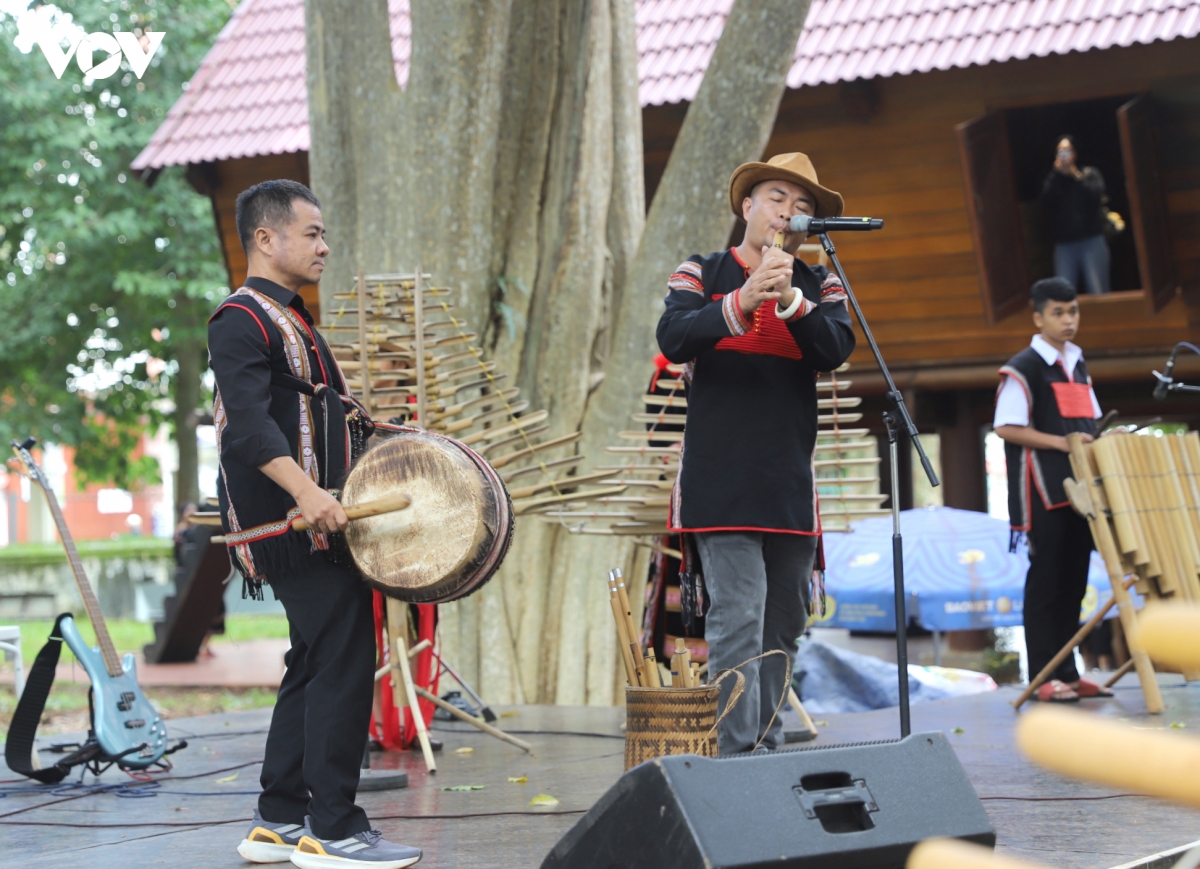 trai nghiem thanh am dai ngan tu nhung nhac cu dan toc tai Dak lak hinh anh 1