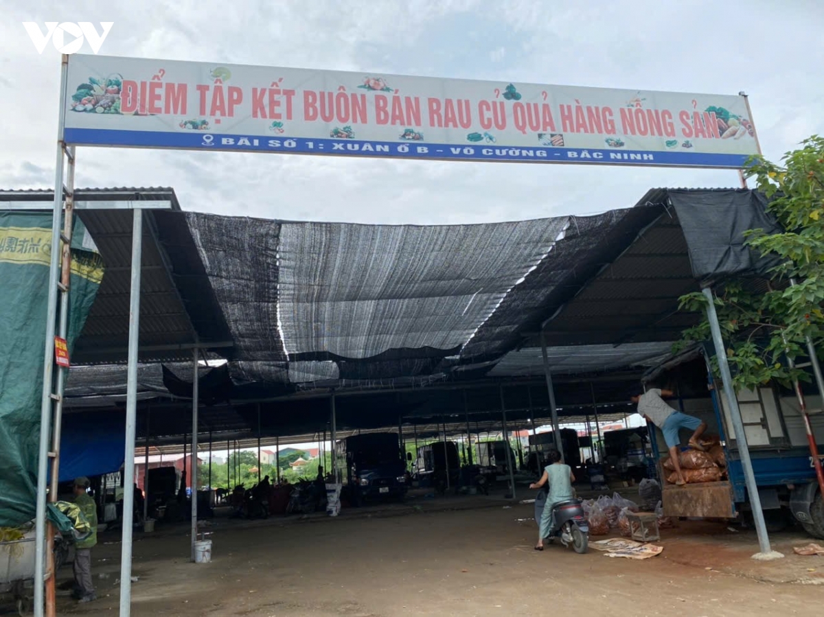 phuong vo cuong, bac ninh thong tin viec thu tien bao ke, chong lung tai cho tam hinh anh 1