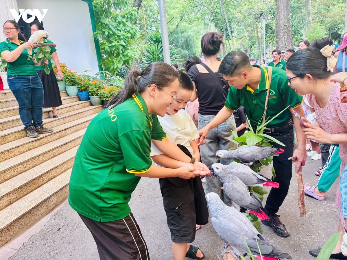  yeu thuong dong day lan toa ky uc xanh tai thao cam vien sai gon hinh anh 4