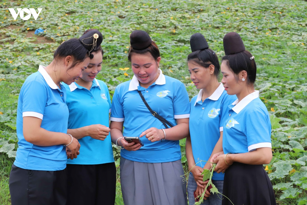 yen son lan toa binh dan hoc vu so , dua cong nghe vao phat trien kinh te hinh anh 4