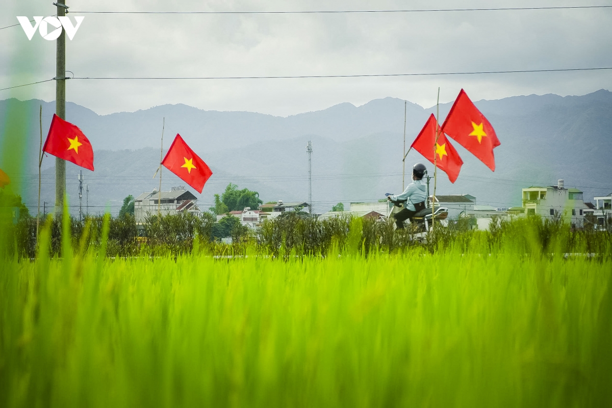 Dien bien ruc ro co hoa chao don quoc khanh 2 9 hinh anh 9