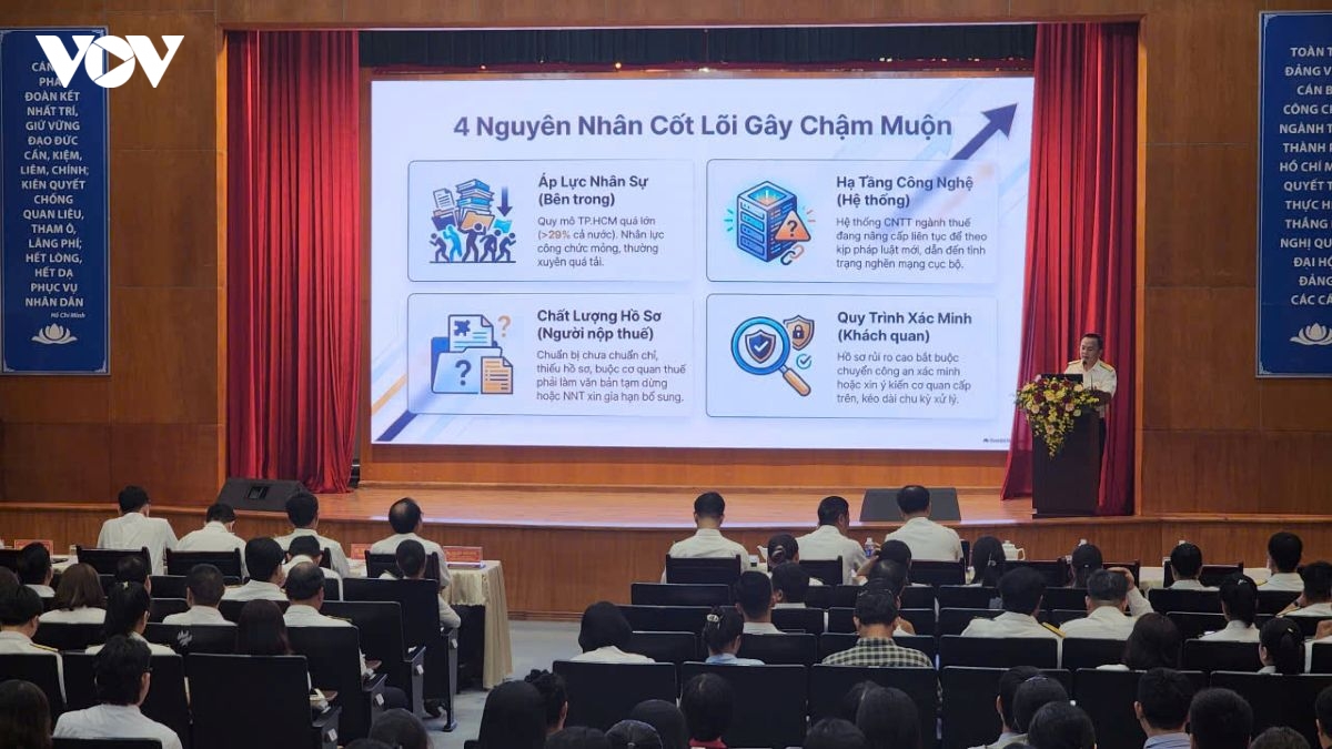 tp.hcm day nhanh hoan thue cho doanh nghiep, tang kiem soat rui ro hinh anh 2