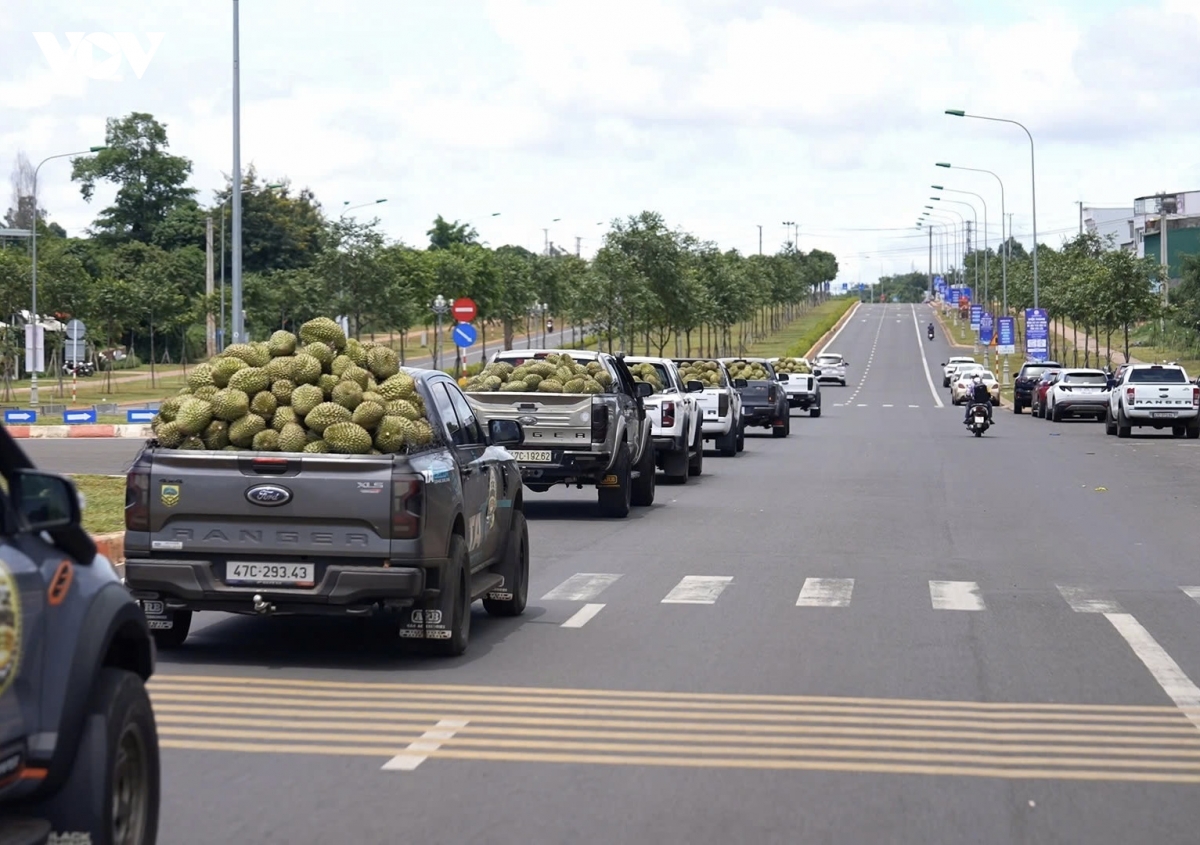 Dak lak huong toi ky luc guinness the gioi de quang ba thuong hieu sau rieng hinh anh 2