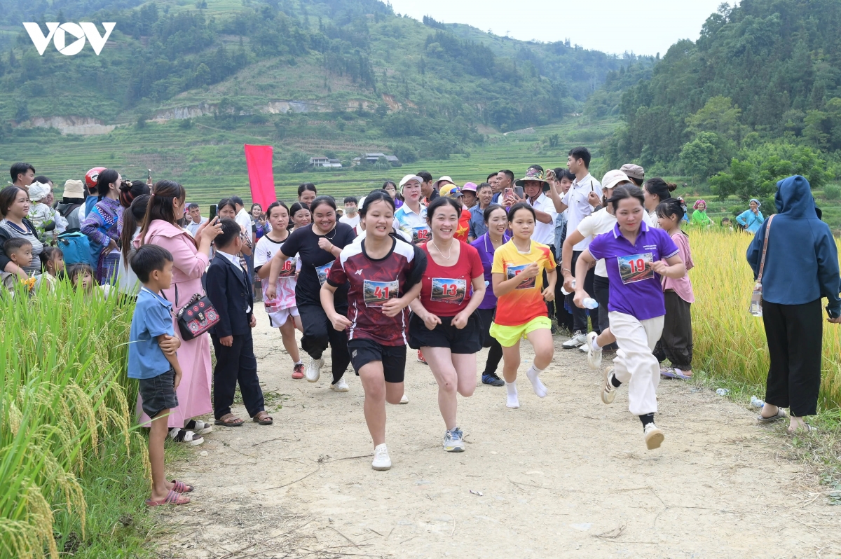 say dam le hoi mua vang xa sin cheng lan thu nhat nam 2026 tai lao cai hinh anh 12